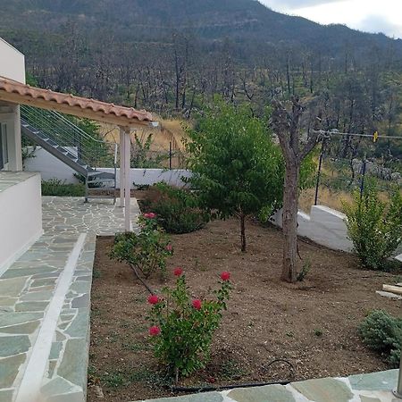 Вилла Σπίτι Στο Βουνό Αλλά Μια Ανάσα Από Τη Θάλασσα Paleochori Экстерьер фото