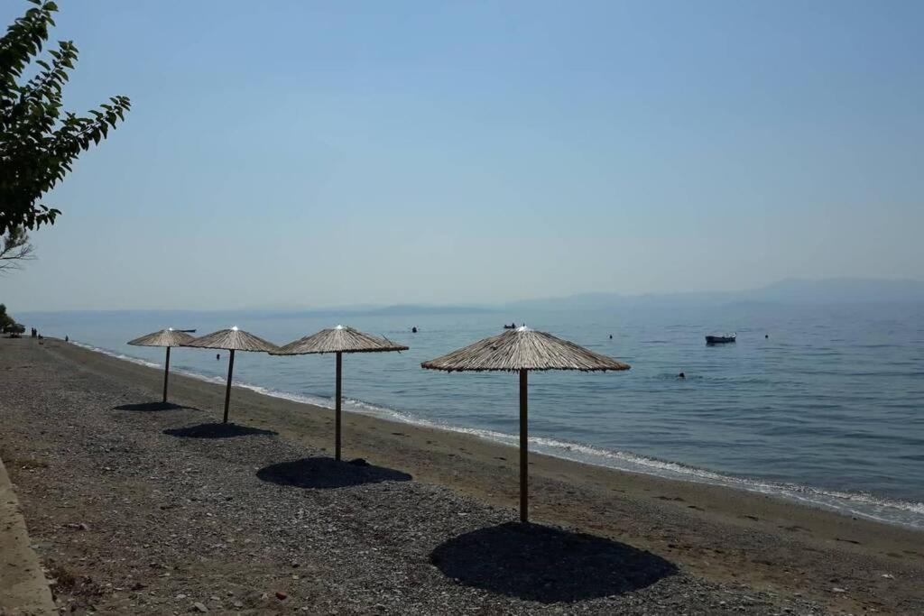 Вилла Σπίτι Στο Βουνό Αλλά Μια Ανάσα Από Τη Θάλασσα Paleochori Экстерьер фото