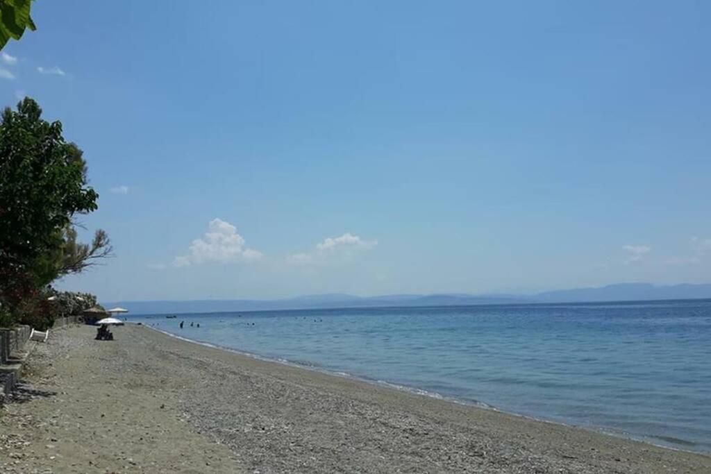 Вилла Σπίτι Στο Βουνό Αλλά Μια Ανάσα Από Τη Θάλασσα Paleochori Экстерьер фото