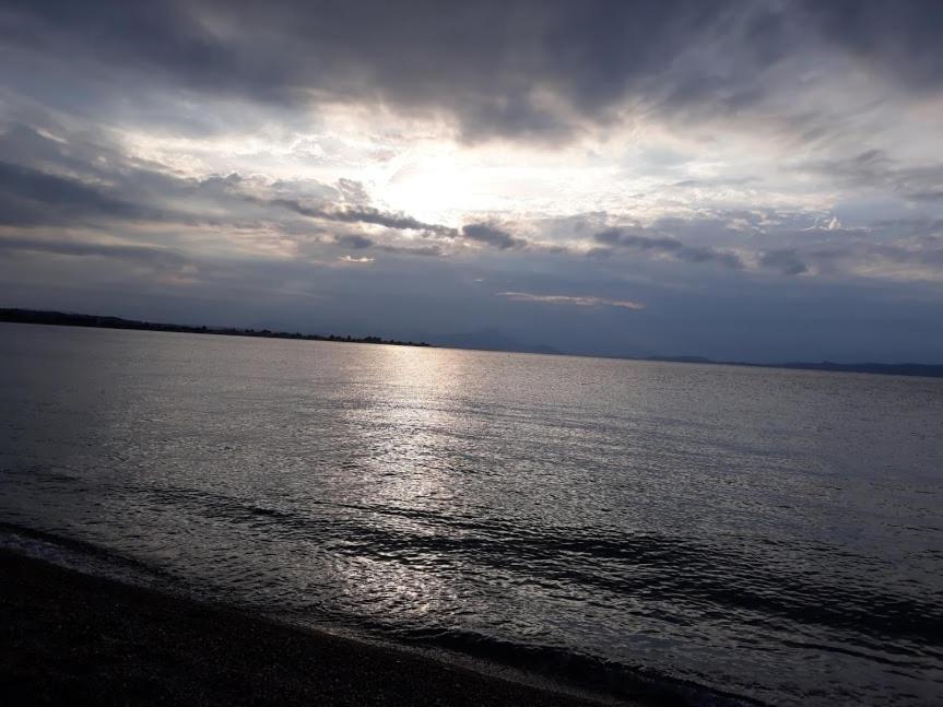 Вилла Σπίτι Στο Βουνό Αλλά Μια Ανάσα Από Τη Θάλασσα Paleochori Экстерьер фото