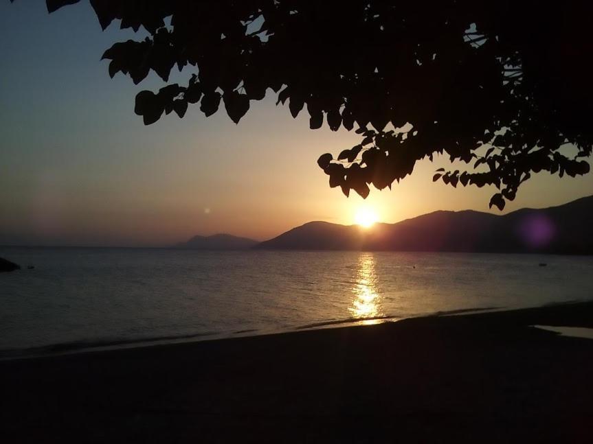 Вилла Σπίτι Στο Βουνό Αλλά Μια Ανάσα Από Τη Θάλασσα Paleochori Экстерьер фото